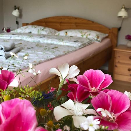 Ferienwohnung Elbsegler Bleckede Εξωτερικό φωτογραφία