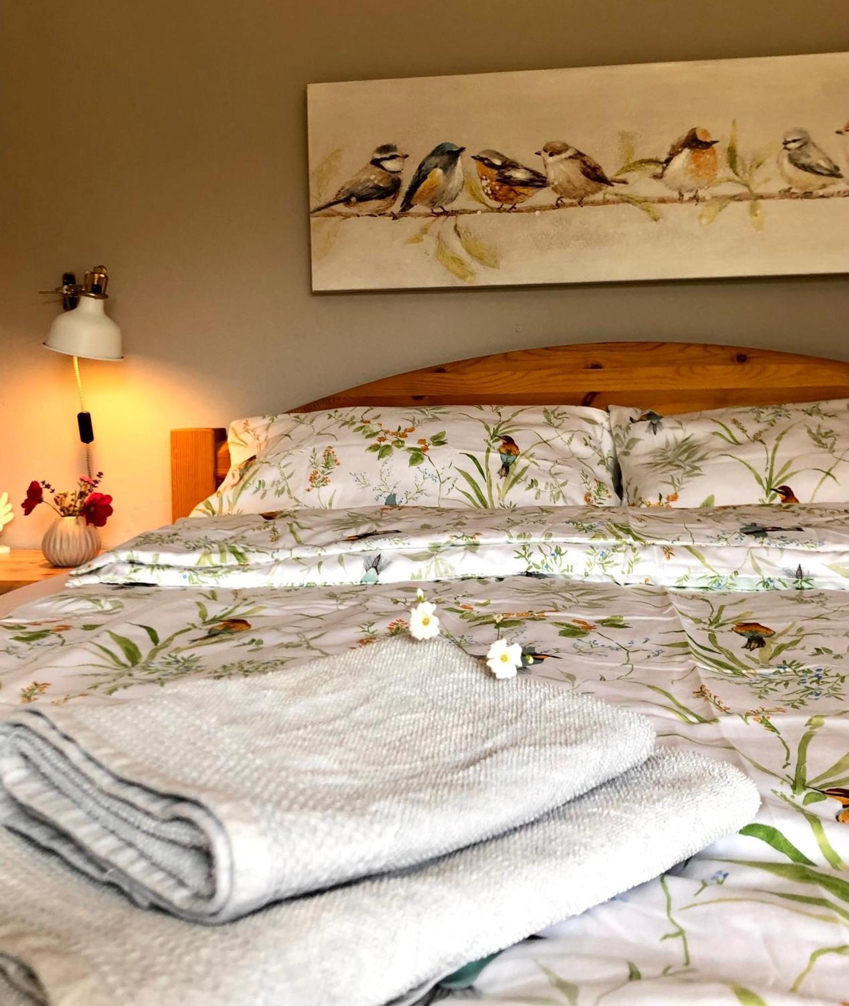 Ferienwohnung Elbsegler Bleckede Εξωτερικό φωτογραφία